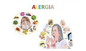 Alergia